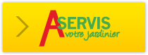 Aservis